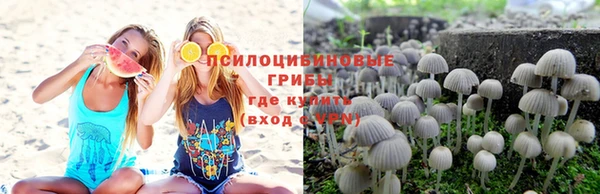 соль курить ск Алзамай