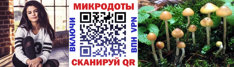 гидра сайт  Слободской  Псилоцибиновые грибы прущие грибы 